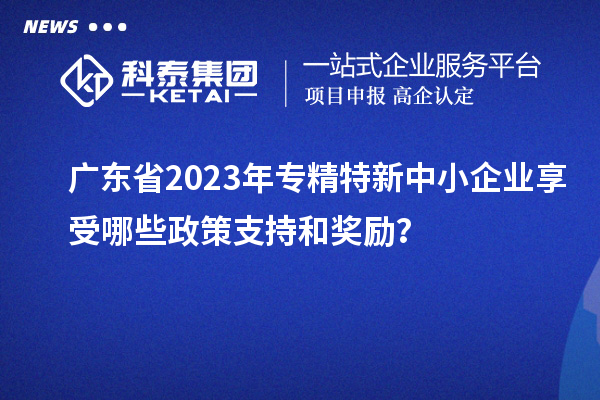 广东省2023年专精特新中小企业享受哪些政策支持和奖励？