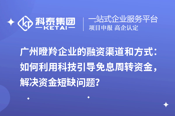广州瞪羚企业的融资渠道和方式：如何利用科技引导免息周转资金，解决资金短缺问题？